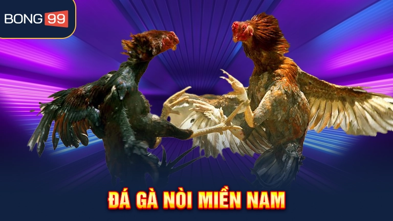 Các yếu tố khi tham gia thi đấu đá gà nòi miền Nam