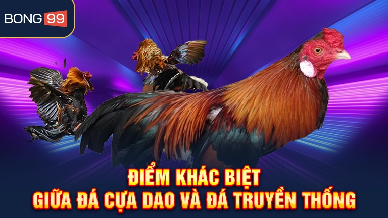 Tham gia đá gà cựa dao online cần nắm thông tin gì?