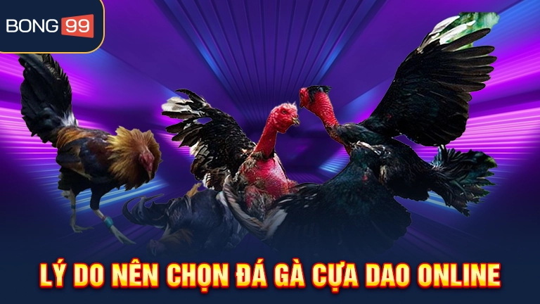 Lý do nên chọn đá gà cựa dao online