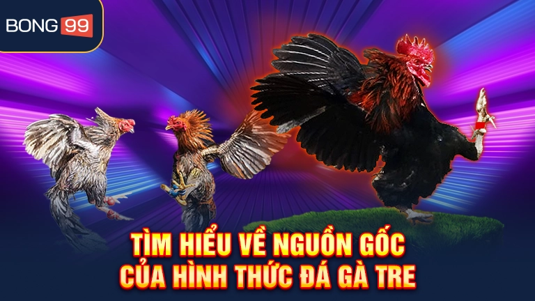 Tìm hiểu về nguồn gốc của hình thức đá gà tre