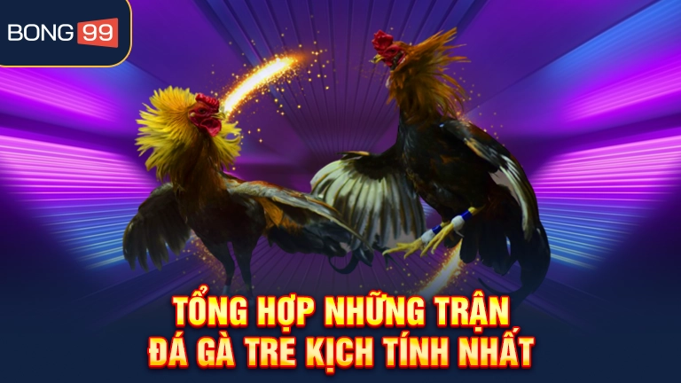 Tổng hợp những trận đá gà tre kịch tính nhất
